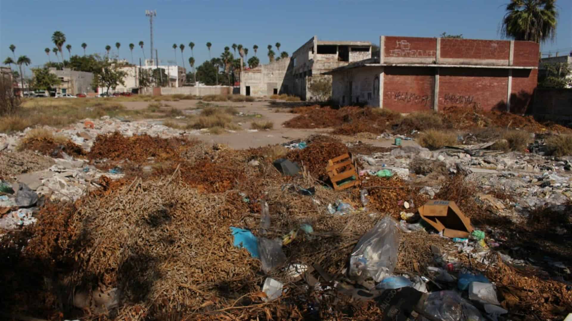 Acusan que terreno de la Pepsi vieja es un riesgo a la salud y de inseguridad