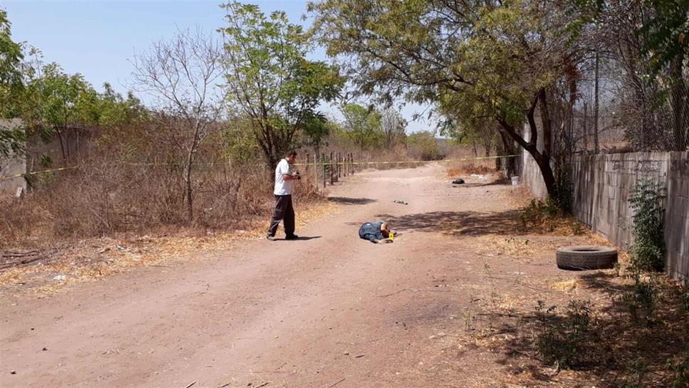 Localizan un ejecutado al norte de Culiacán