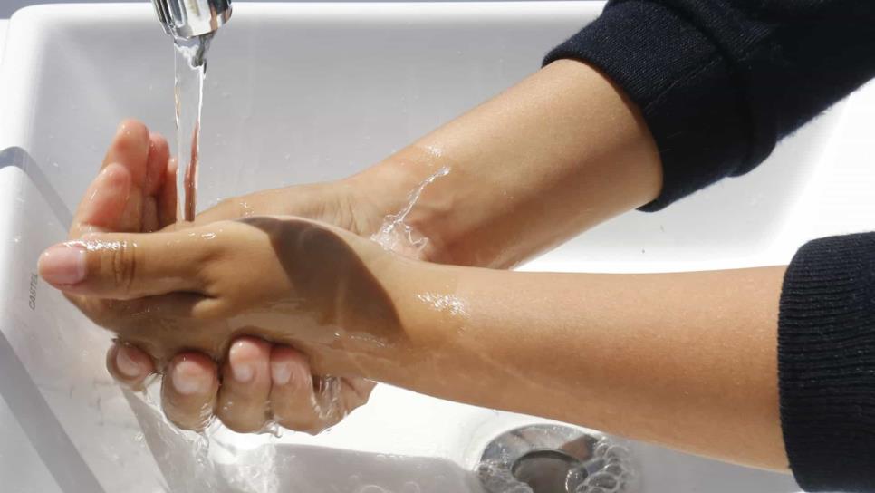 Recomiendan medidas de higiene para prevenir amebiasis