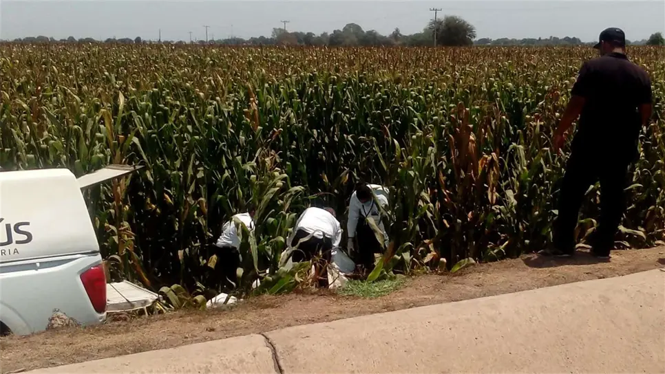 Localizan cadáver putrefacto en Navolato
