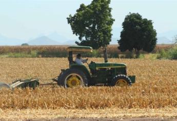 Reconocen problemas en pago de Proagro Productivo