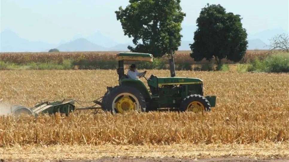 Reconocen problemas en pago de Proagro Productivo