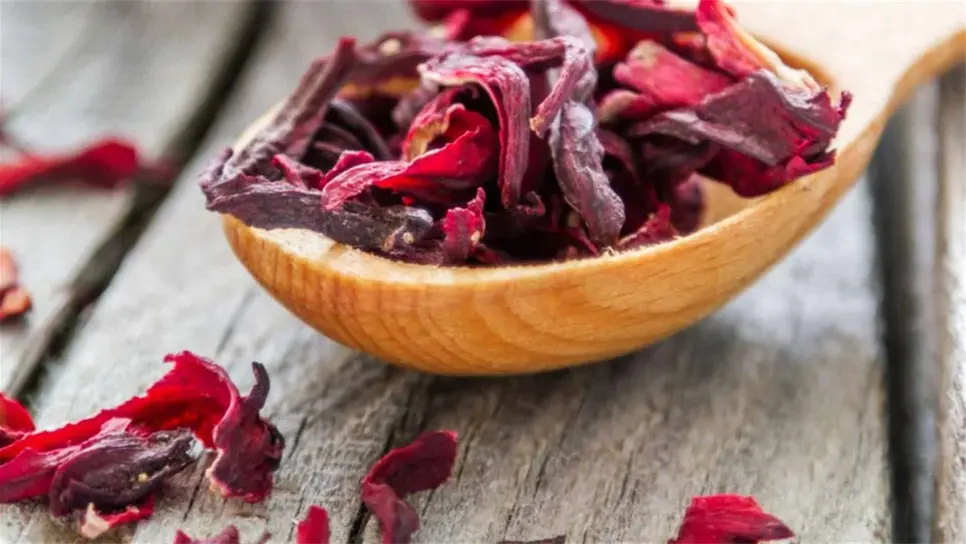 Desarrollan desinfectante hospitalario con flor de jamaica