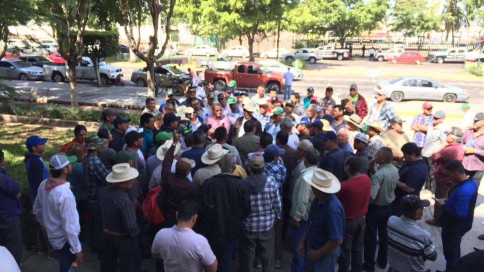 Fluye pago a productores de granos en Sinaloa