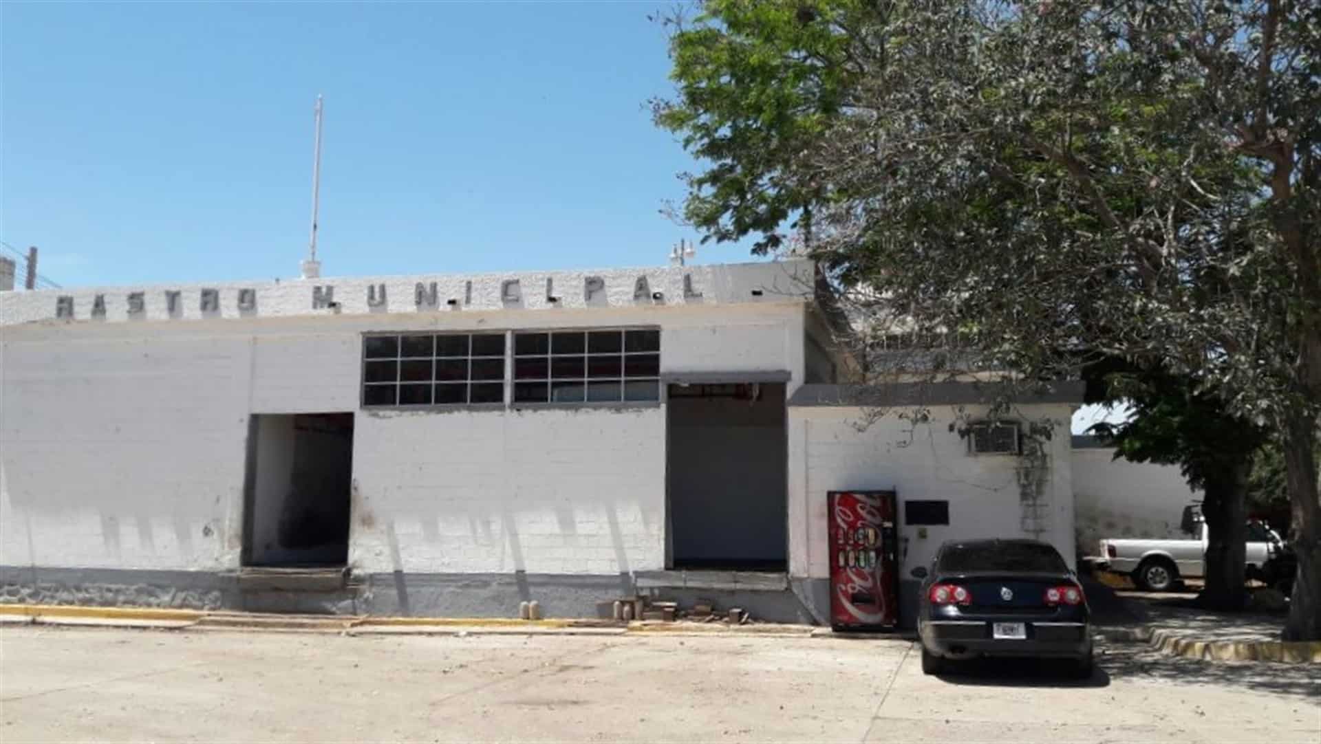 Cae al 70% el sacrificio de cabras en Rastro Municipal