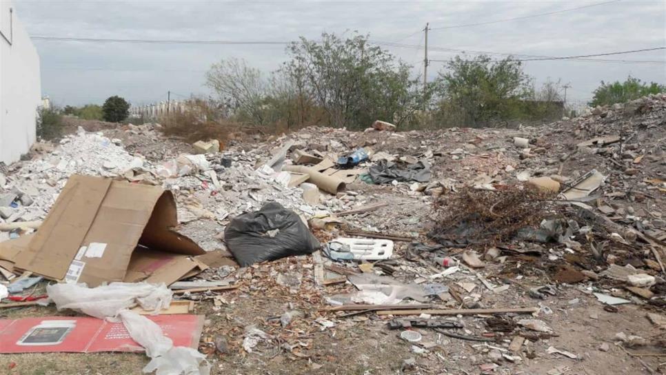 Basura, escombro y hasta animales muertos predominan en la Tepeca