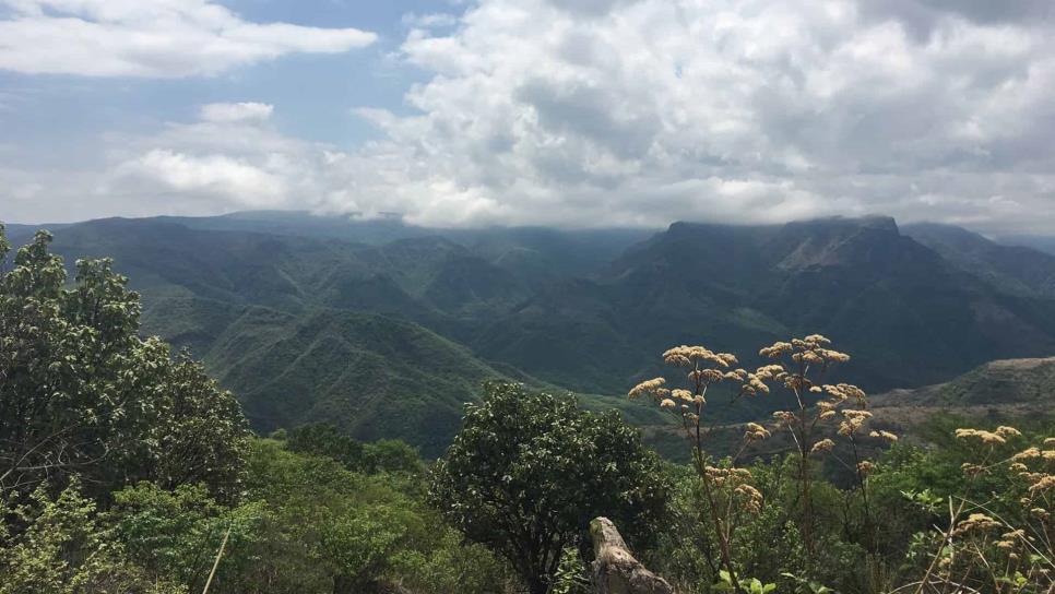 Sierra de Sonora registra máxima de 42.7 grados a la sombra