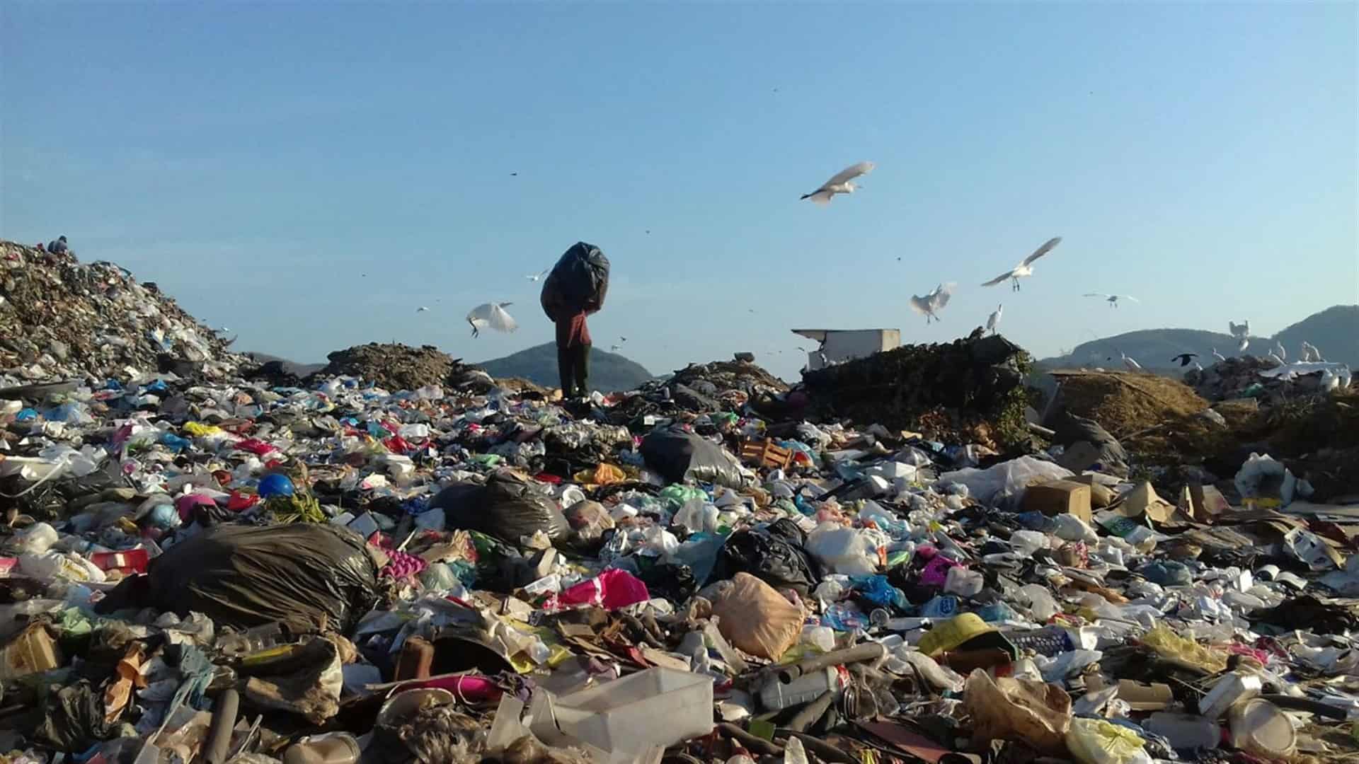 Pepenadores, expuestos a enfermedades infecciosas