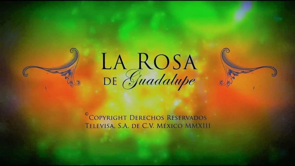 Como dice el dicho y La Rosa de Guadalupe, programas más vistos por niños