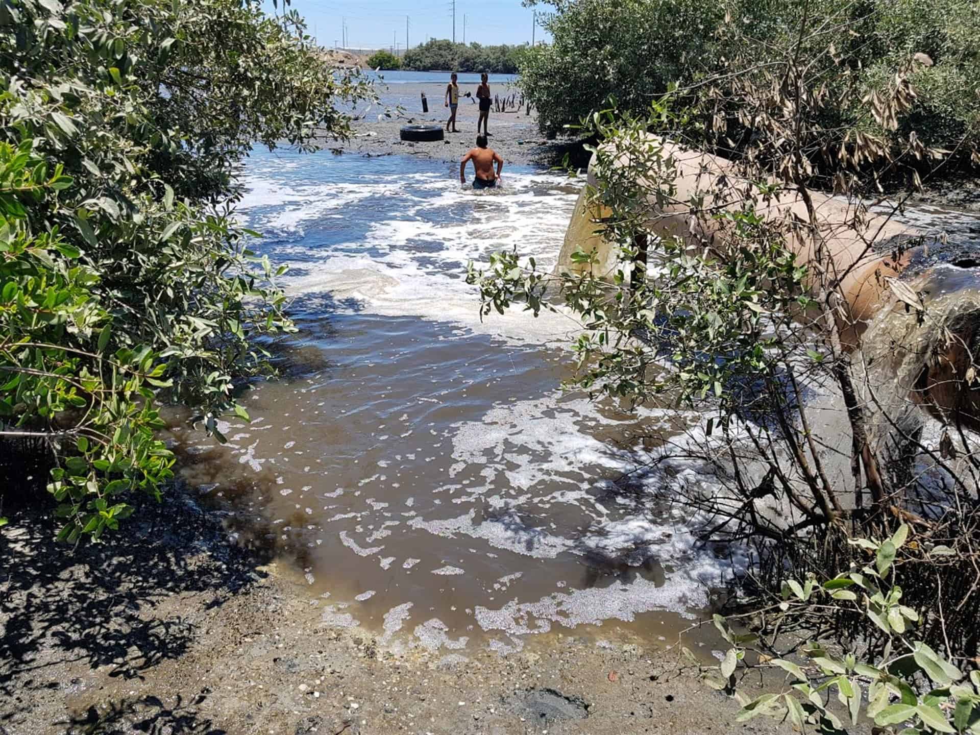 Evidencian contaminación en estero de Urías en Mazatlán