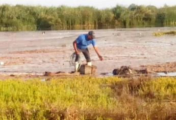 Comisario salva a un hombre de morir ahogado en el Estero de JJR