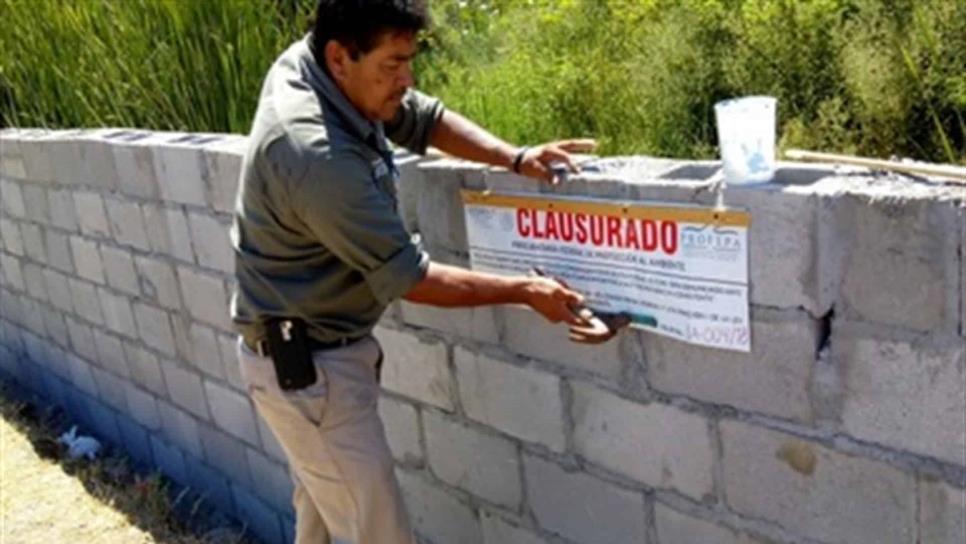 Clausura Profepa relleno y construcción en el estero de Urías en Mazatlán