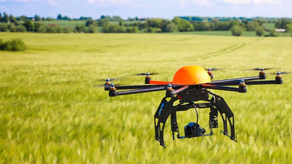 Drones e Inteligencia Artificial pueden revolucionar agroindustria