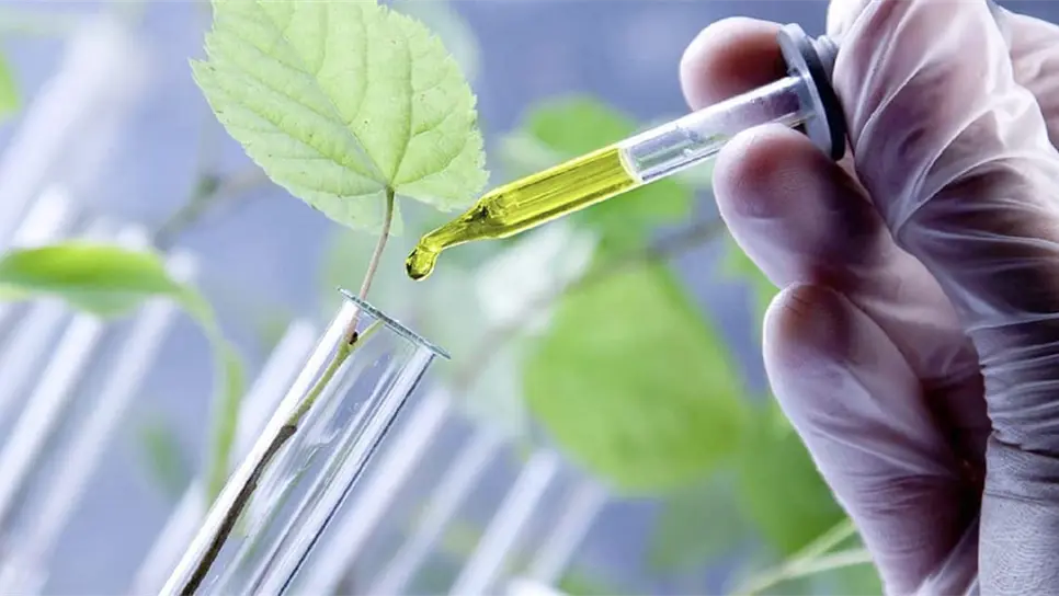 FOTO: Universidad Politécnica de Guanajuato.