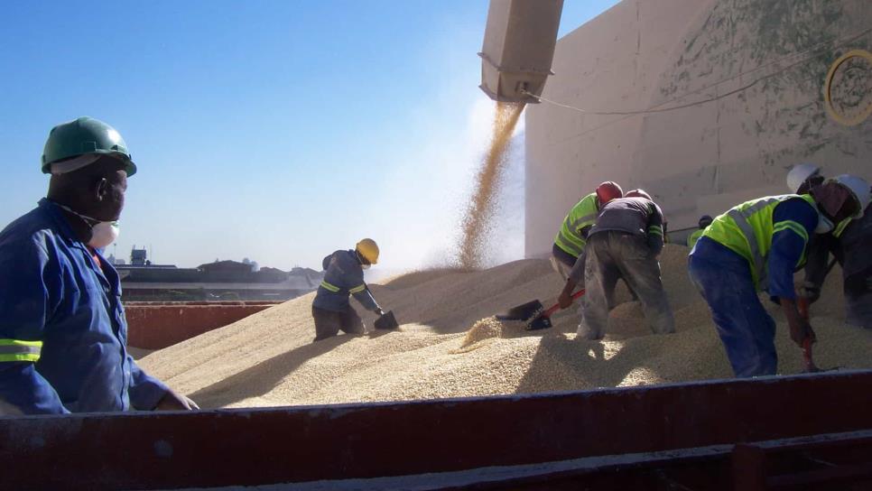 Sinaloa ya puede exportar granos a China