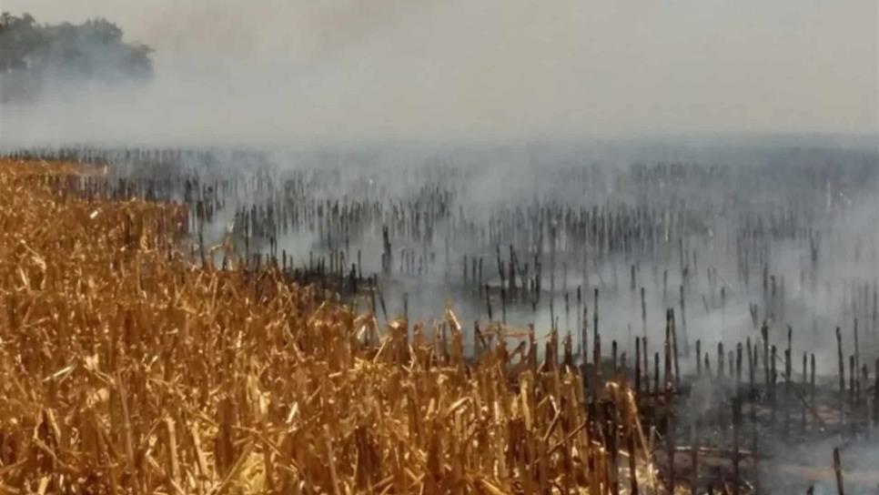 Levantan actas a productores de El Carrizo por quema de soca
