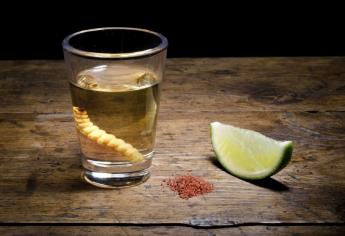 Bacardí, Chivas Regal y Johnnie Walker le entran al mezcal