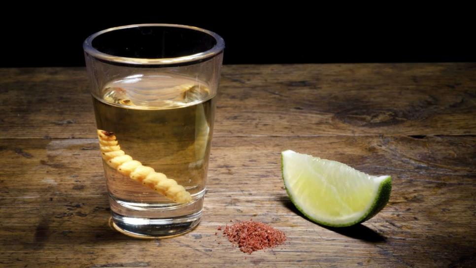 Bacardí, Chivas Regal y Johnnie Walker le entran al mezcal