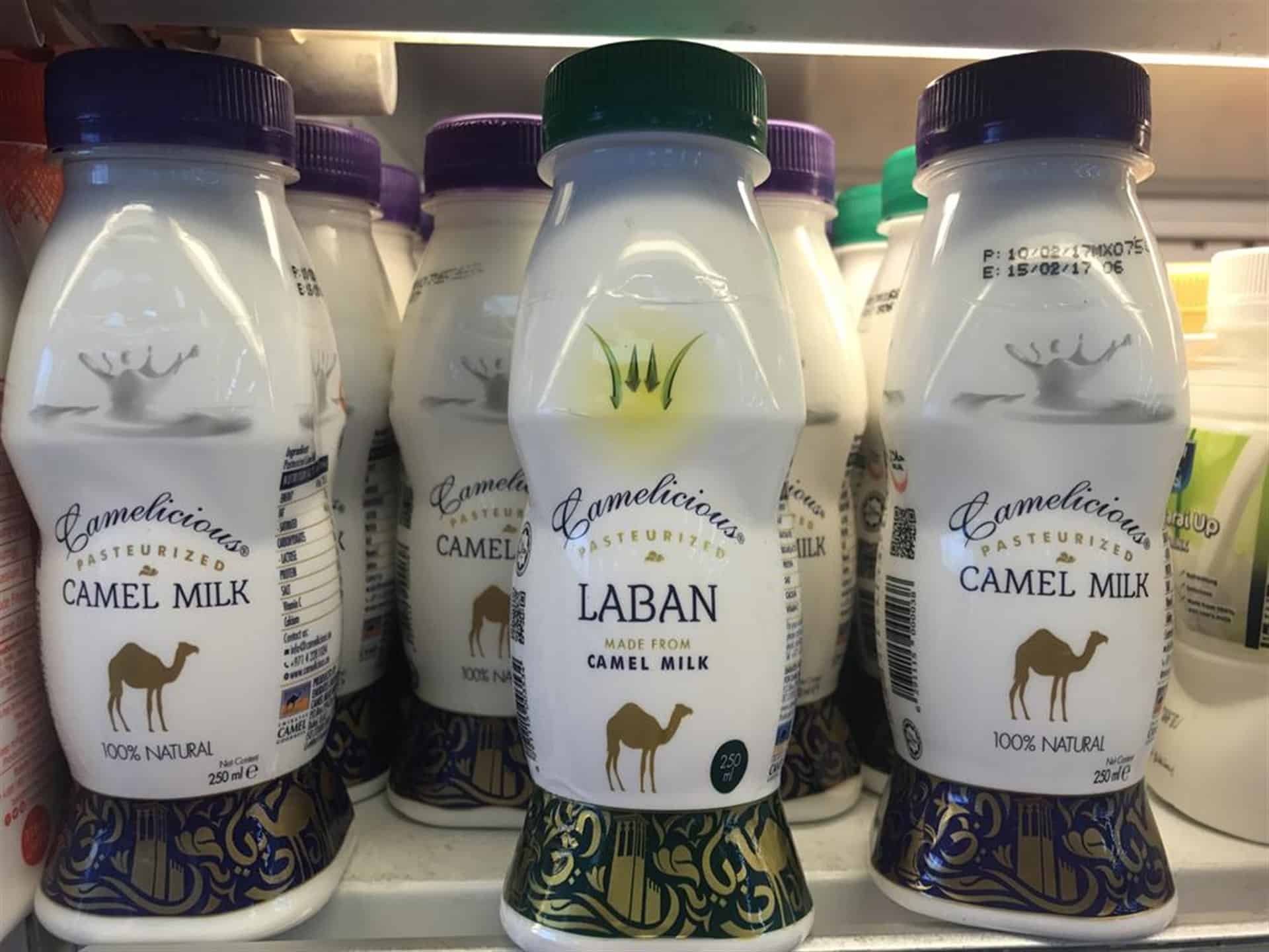 Leche de camello para bebés alérgicos a fórmulas lácteas