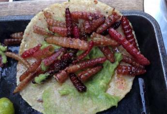 México, uno de los países más ricos en insectos comestibles