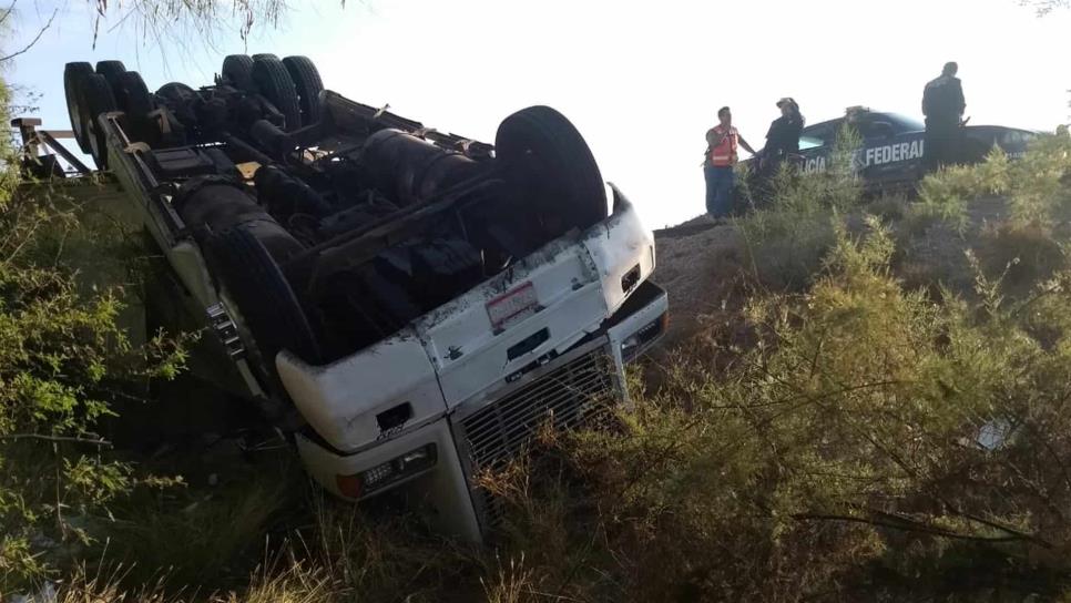 Vuelca tráiler cargado de alfalfa en el Poblado 6