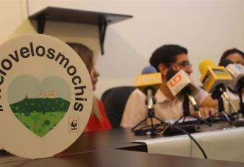 Invitan a participar en los eventos de We Love Los Mochis Fest