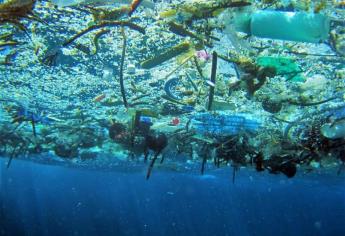 Más plástico que peces, el gran peligro que corren los océanos