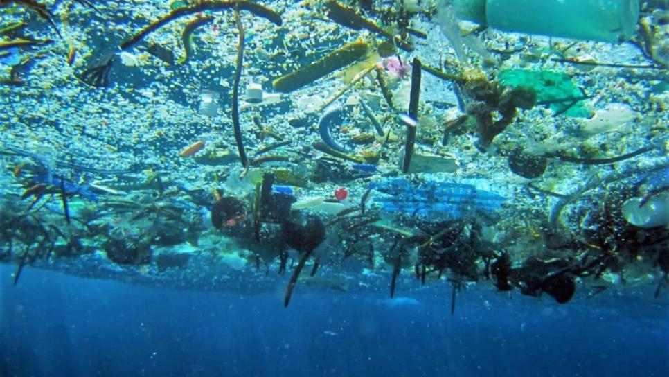 Más plástico que peces, el gran peligro que corren los océanos