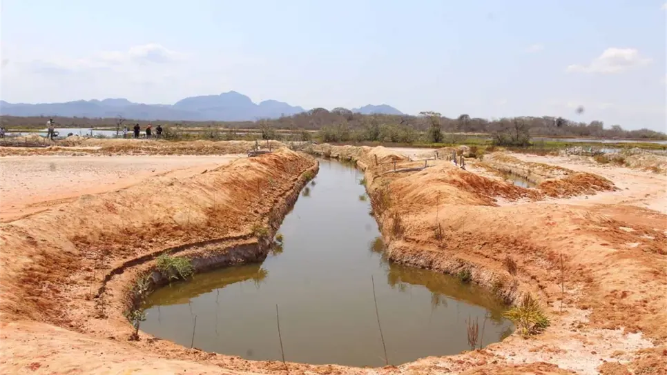 Supervisa director de Conafor zona de marismas en Escuinapa