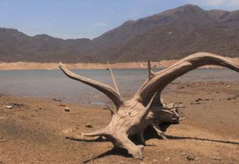 Con temor beben agua de la presa en Choix