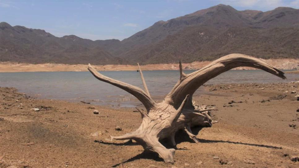 Con temor beben agua de la presa en Choix