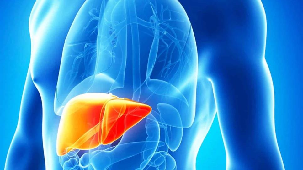 Hepatitis C afecta alrededor de 600 mil mexicanos; no presenta síntomas