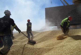 Agricultores se dicen preocupados por lluvias de Bud