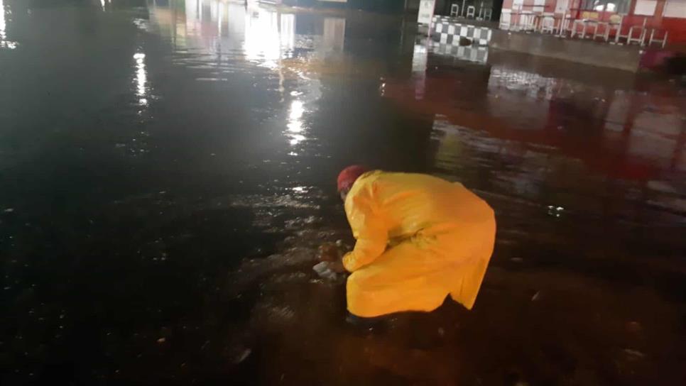 30 mm de lluvia dejan inundaciones en Los Mochis