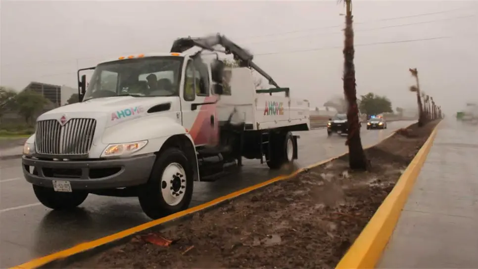 Vientos y lluvias de Bud derriban palmeras de la Mochis-Topo