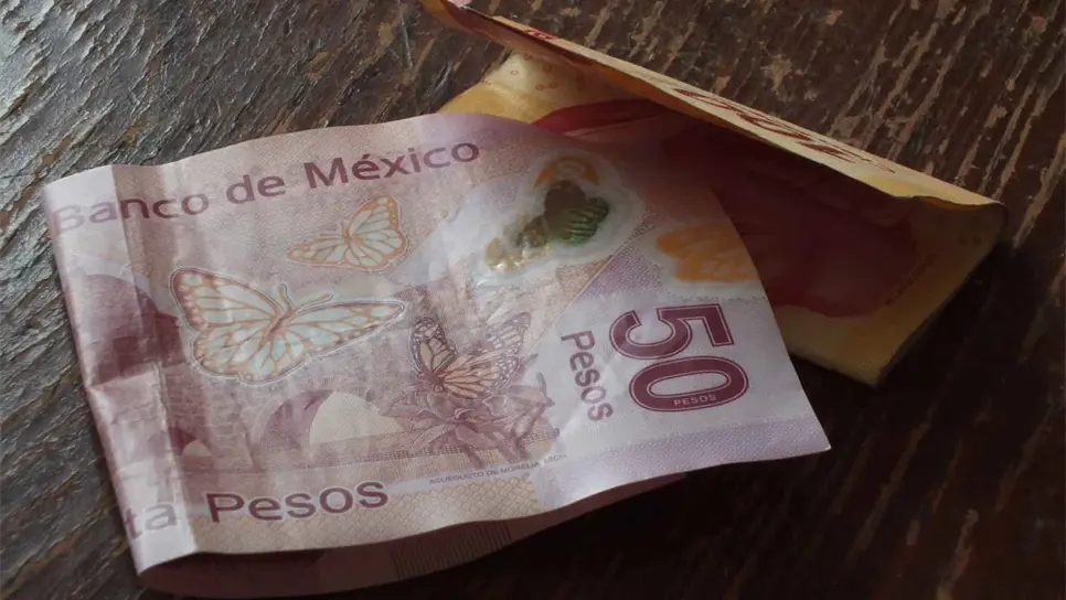 Se requiere promover el ahorro voluntario entre los mexicanos.