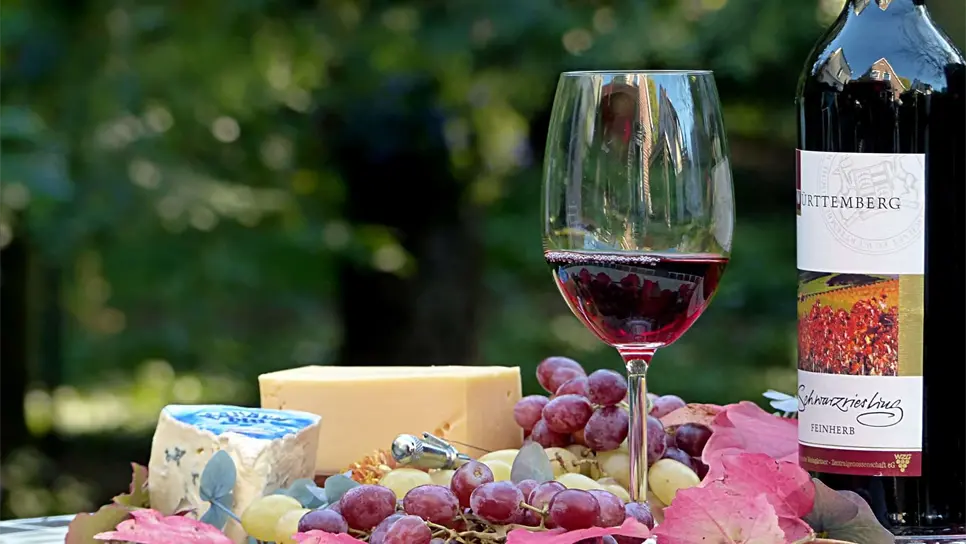 Actualmente se producen un promedio de 40 mil botellas de vino al año.