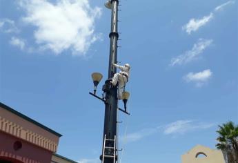 Abejas atacan a tres empleado en la Plaza Campanario