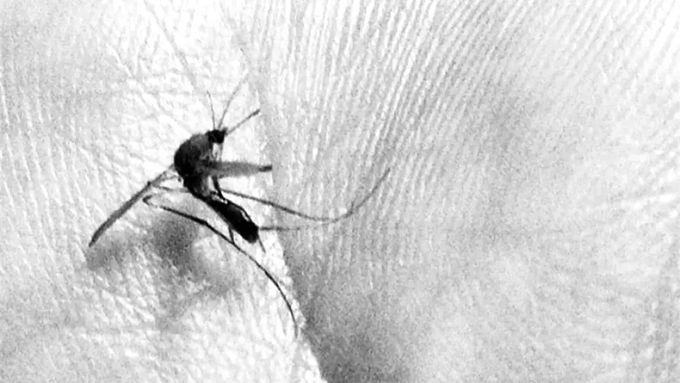 FOTO: Comunicación IMSS.