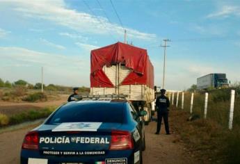 Cambian huachicoleros de actividad, ahora le roban a empresas agrícolas