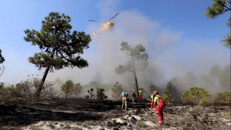 Más de 10 mil has sinisestradas por incendios forestales en 2018