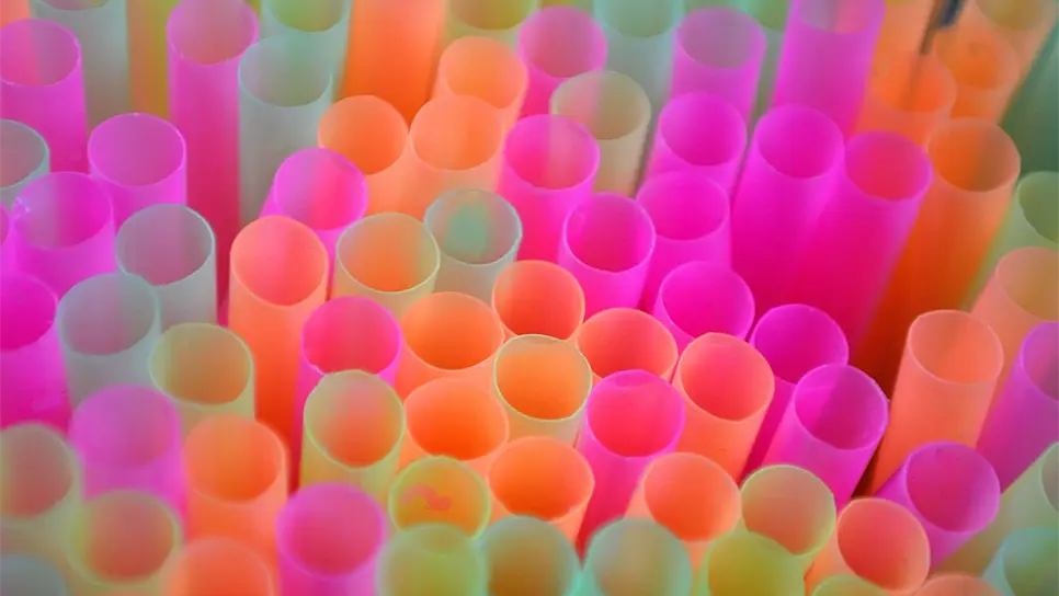 Necesario una regulación y cultura ambiental en el manejo de popotes