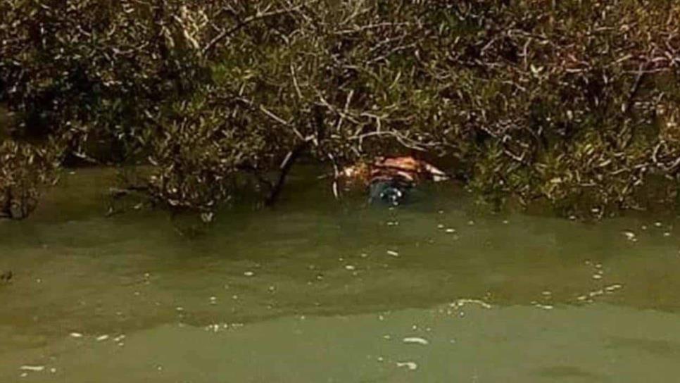 Encuentran a hombre muerto entre los manglares del Cerro Cabezón