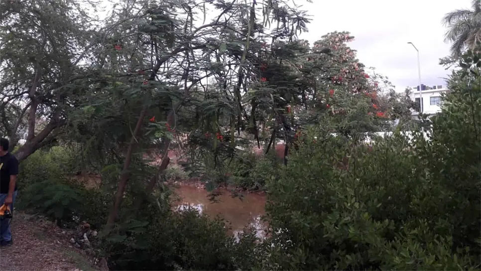 Dará tranquilidad a colonos revestimiento del arroyo Jabalines: PC