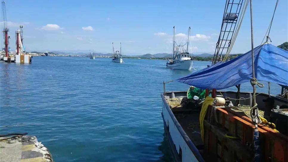 En 45 días inicia el dragado del puerto de Mazatlán