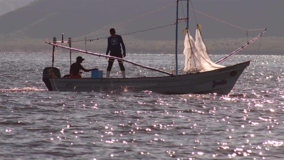 Veda dificulta a pescadores llevar sustento a sus familias