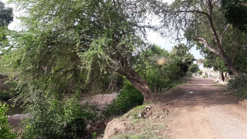 Piden bardas en algunas partes de los márgenes del arroyo Jabalines