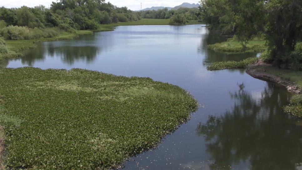 Sin elementos de riesgo a la salud en aguas del río Fuerte