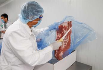 Ingresa carne de cerdo española para abastecer industria mexicana