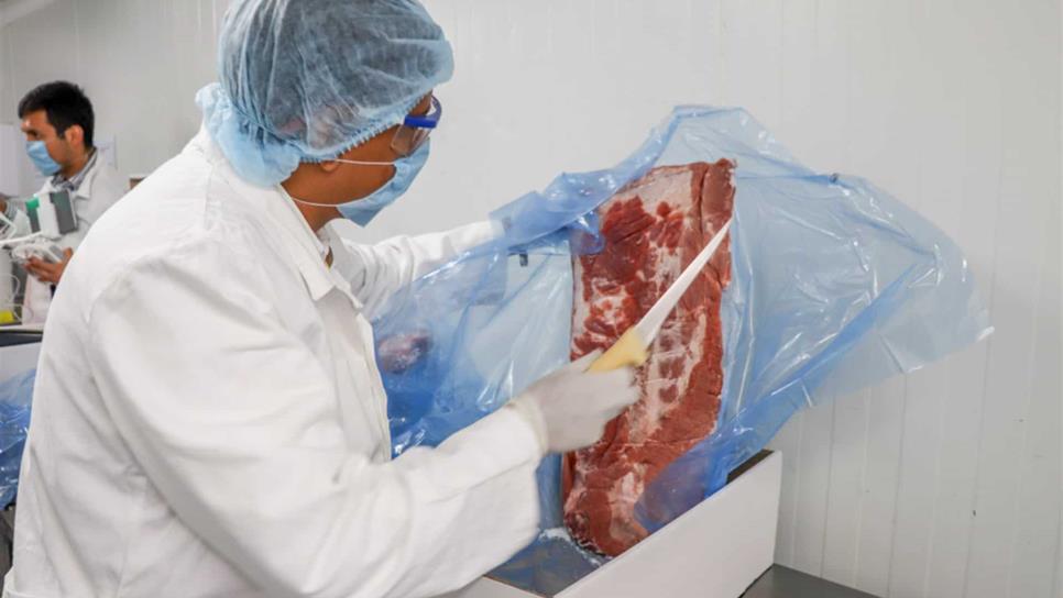 Ingresa carne de cerdo española para abastecer industria mexicana